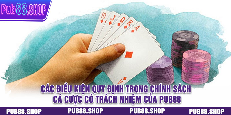Các điều kiện quy định trong chính sách cá cược có trách nhiệm của PUB88