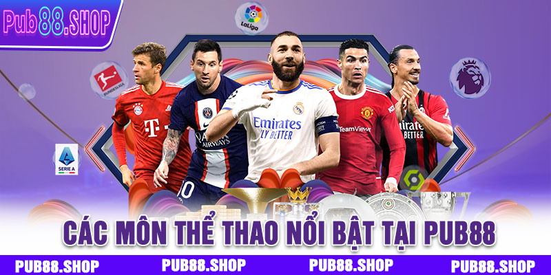 Các môn thể thao nổi bật tại PUB88