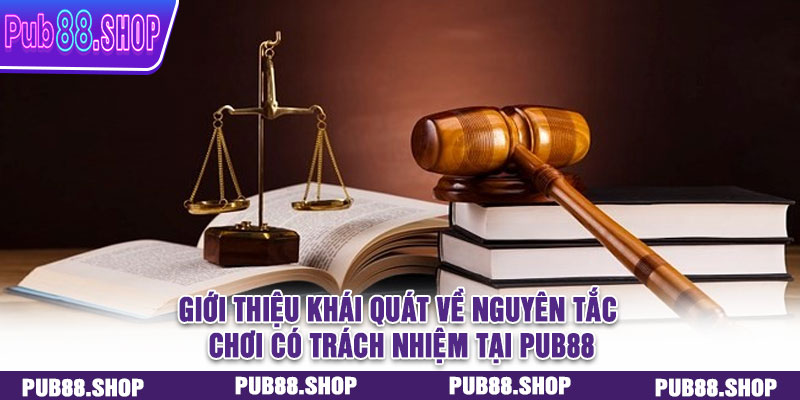 Giới thiệu khái quát về nguyên tắc chơi có trách nhiệm tại PUB88