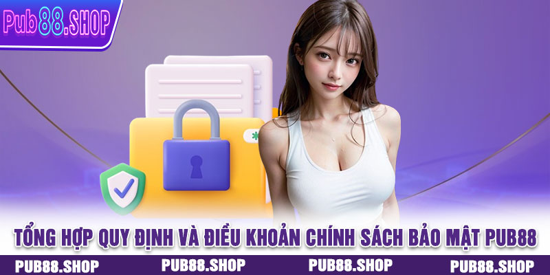 Tổng hợp quy định và điều khoản chính sách bảo mật PUB88